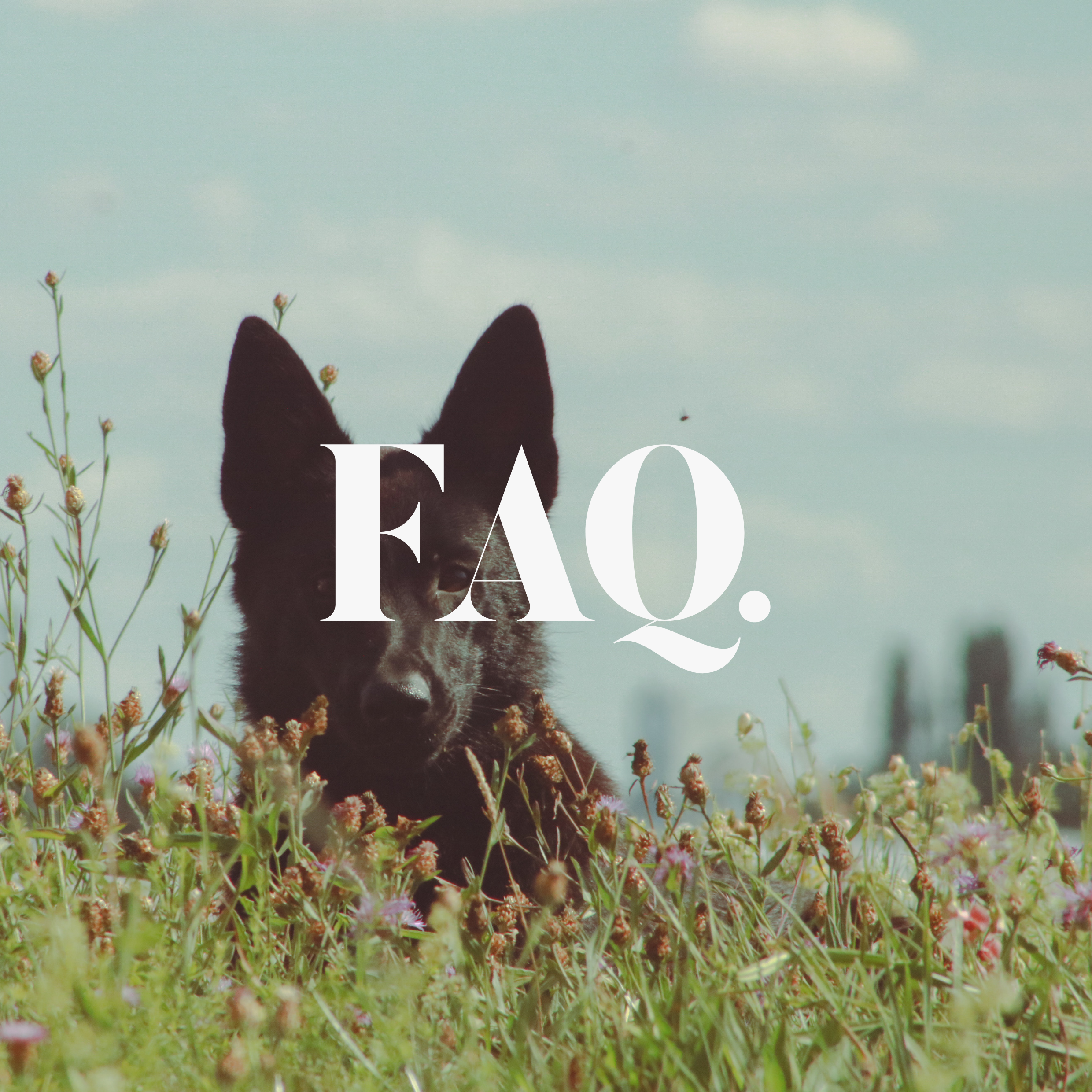 FAQ - Unsere Arbeit
